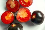 Cách trồng cà chua đen đơn giản mà cho quả sai lúc lỉu